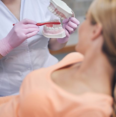 Cropped head of woman in medical uniform holding jaw model and brush while communicating with female patient