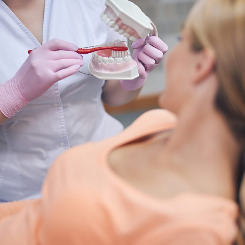 Cropped head of woman in medical uniform holding jaw model and brush while communicating with female patient